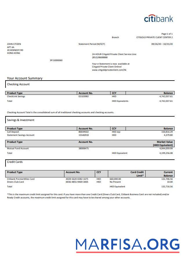 Blank Hong Kong Citibank credit card statement excel sample